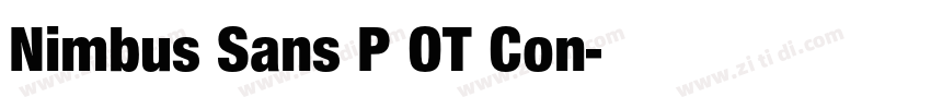 Nimbus Sans P OT Con字体转换 Nimbus Sans P OT Con字体转换